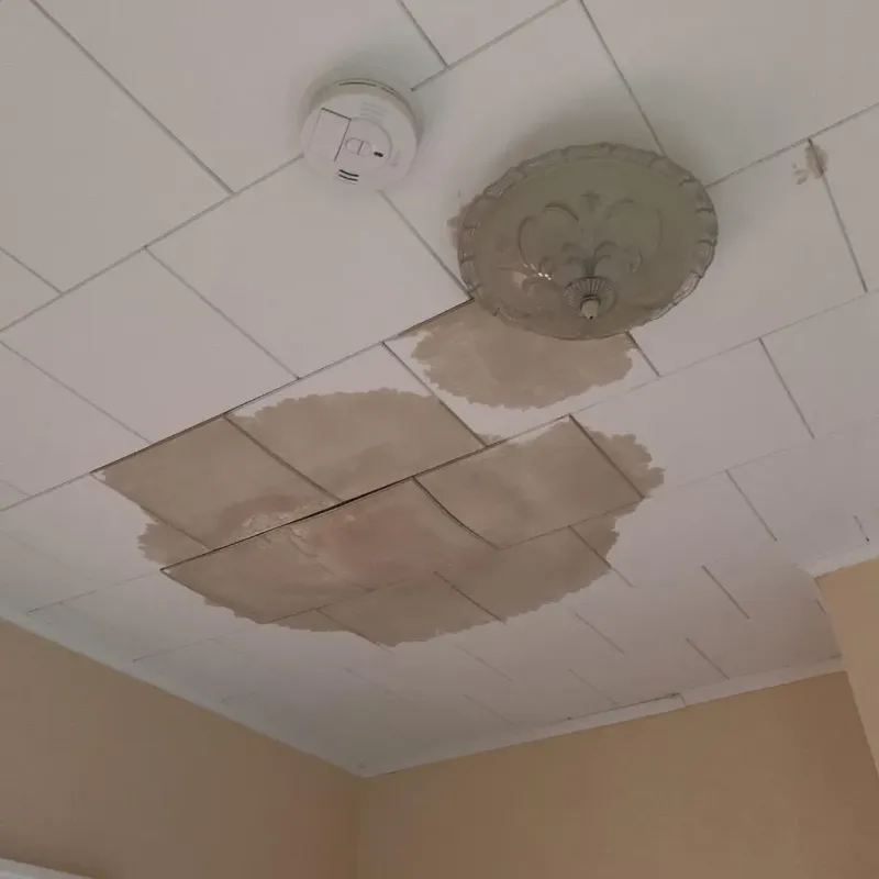 Ceiling Water Damage Repair in Coon Rapids, MN