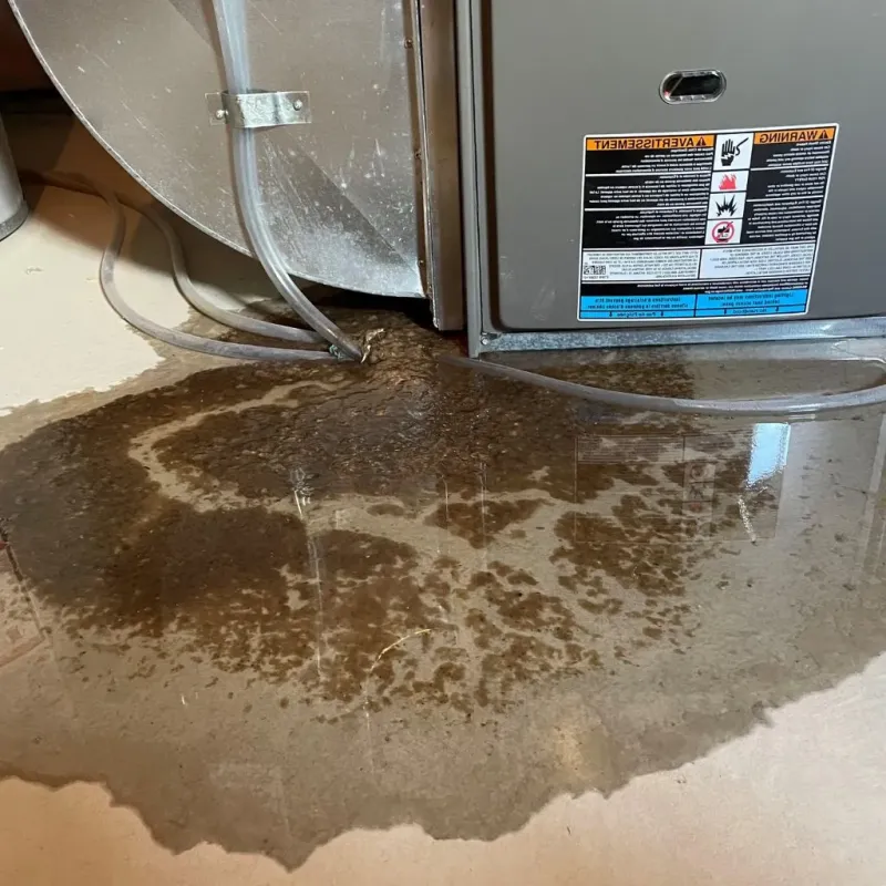 Pipe Burst and Leak Restoration in Coon Rapids, MN