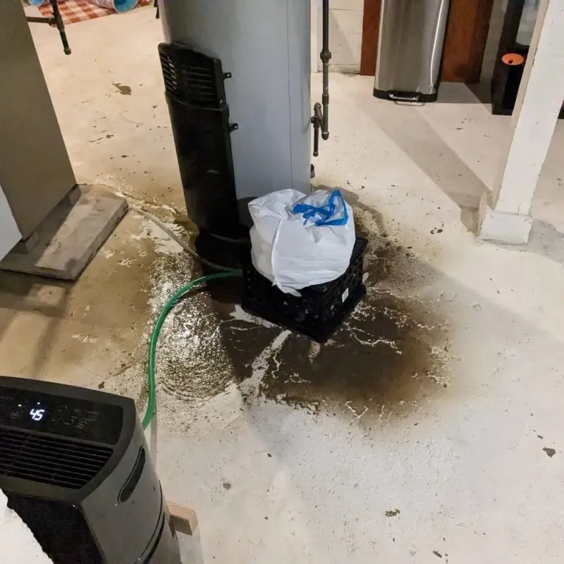 Sewage Backup Cleanup Service in Coon Rapids, MN